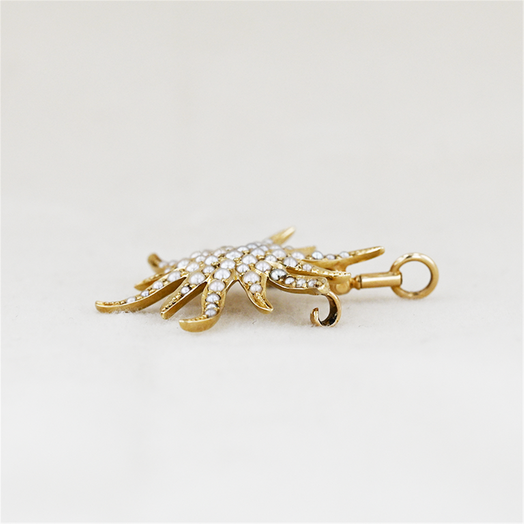 14K Yellow Gold Starfish Pearl Brooch/Pendant
