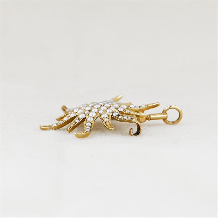 14K Yellow Gold Starfish Pearl Brooch/Pendant