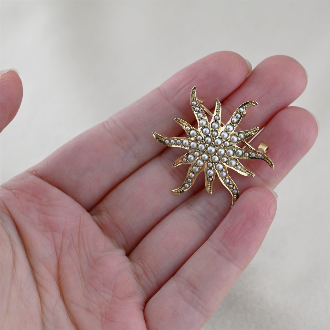 14K Yellow Gold Starfish Pearl Brooch/Pendant