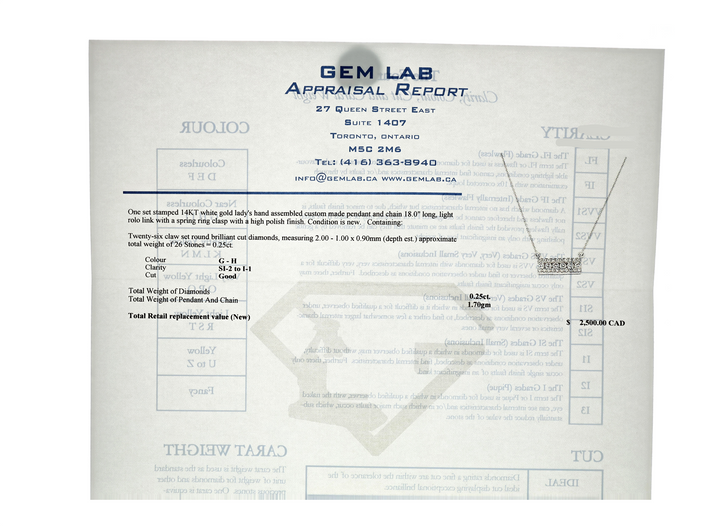 14KT White Gold 0.25ctw Diamond 18" Estate Necklace