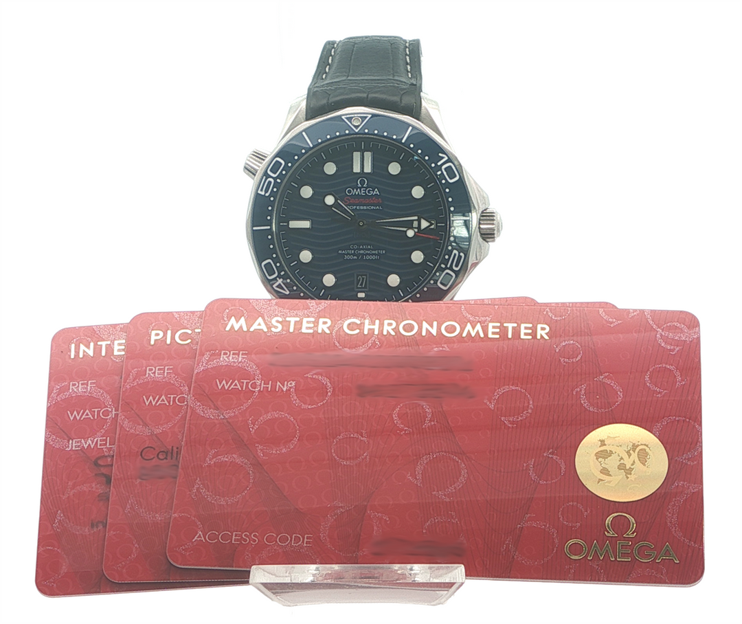 Omega Seamaster Diver 300 210.32.42.20.03.001 42mm 2022