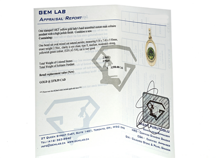 Harmony Jewellers Exclusive "Geometry" Collection-14KT Yellow Gold Natural Peridot 18" Necklace