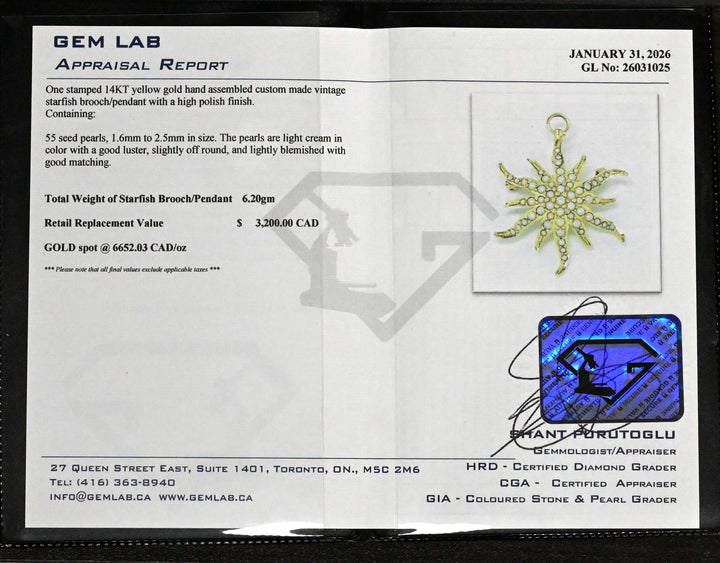 14K Yellow Gold Starfish Pearl Brooch/Pendant