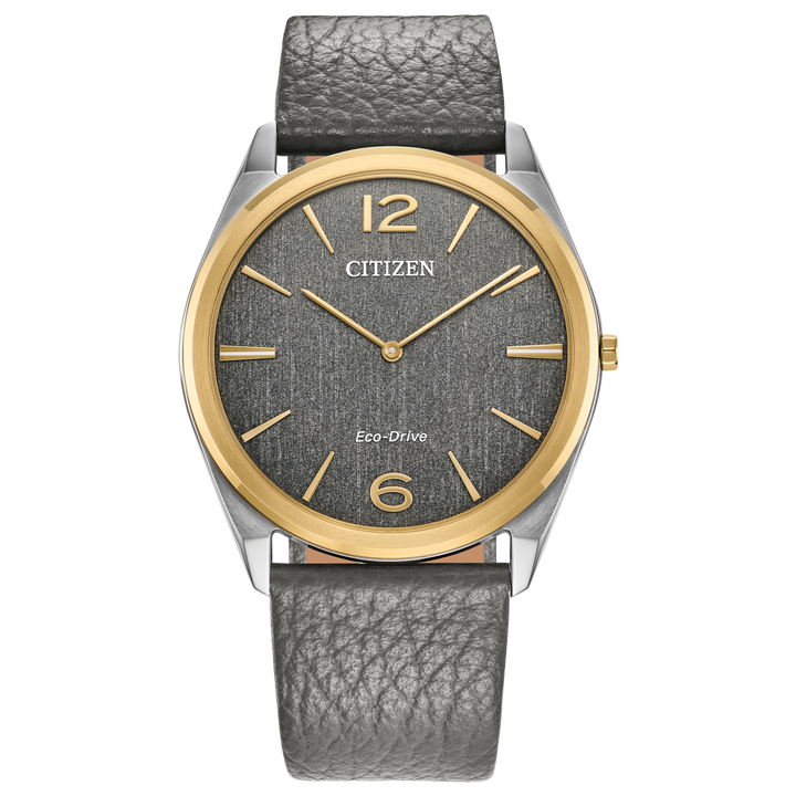 Citizen "Suratto" Classic Collection Watch