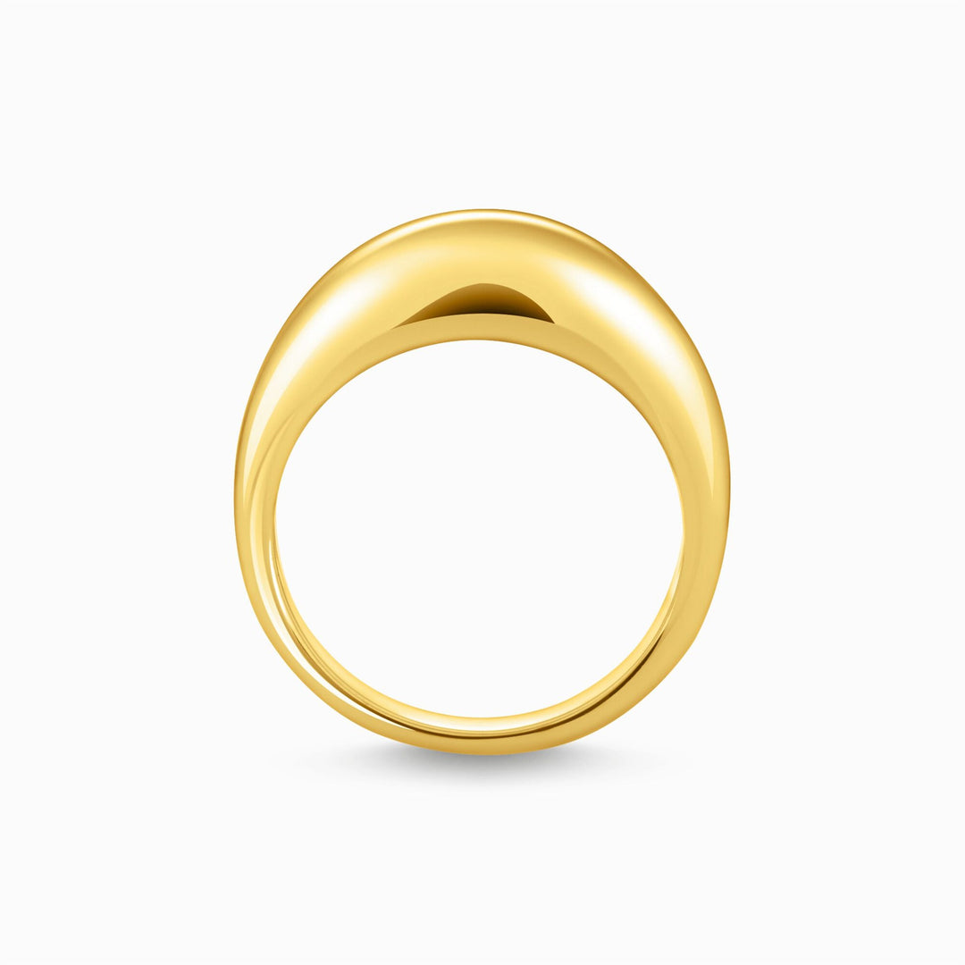 Thomas Sabo Gold-Plated Ring In Timeless Design