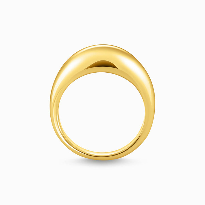 Thomas Sabo Gold-Plated Ring In Timeless Design
