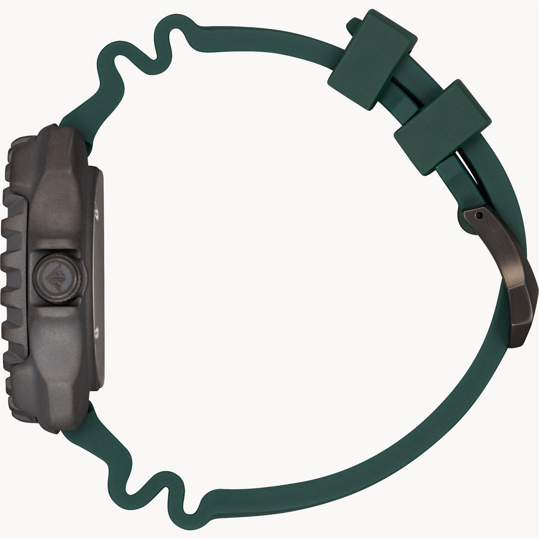 Citizen Promaster Dive